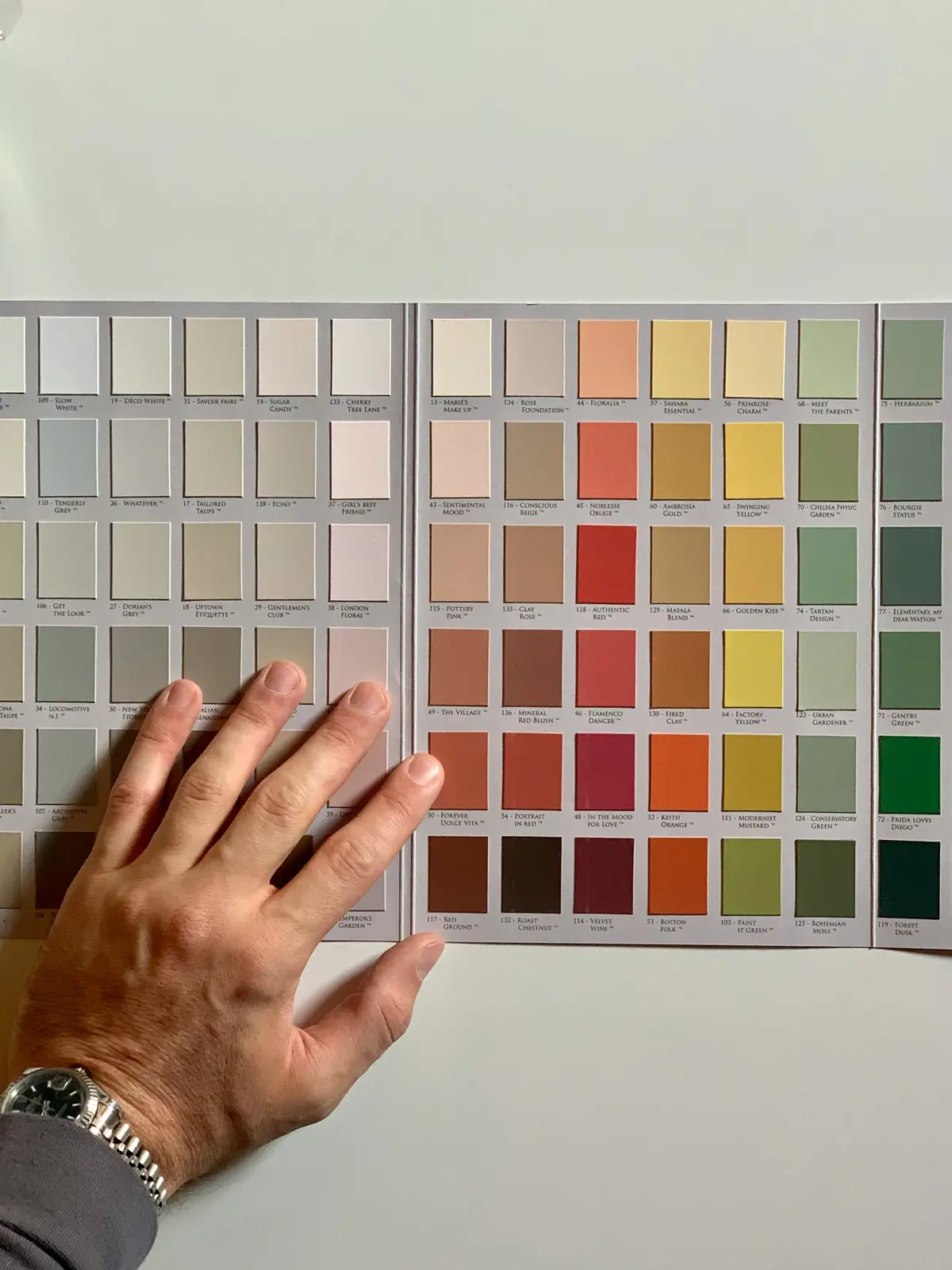 Un nuancier de couleur